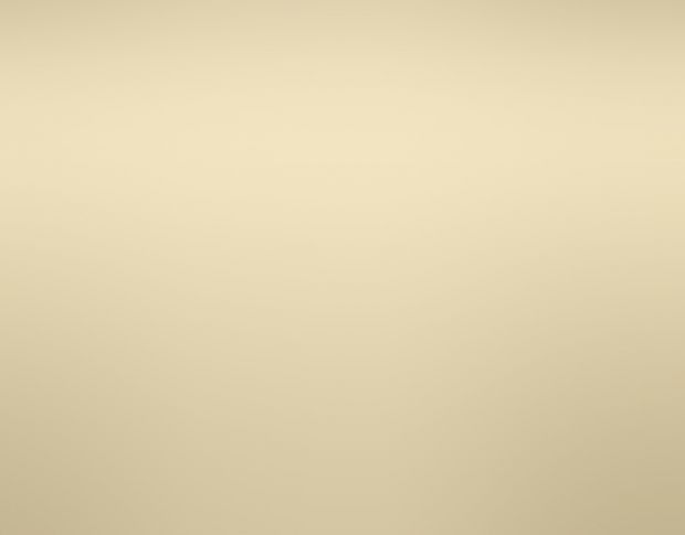 Siser P.S. Electric E0108 Champagne