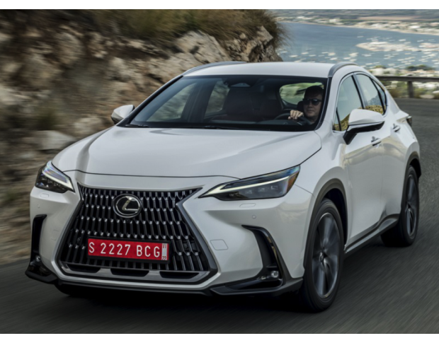 Комплект викрійок для салону LEXUS NX 2021
