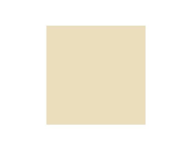 Oracal 970 Taxibeige Gloss 809 1.524 m