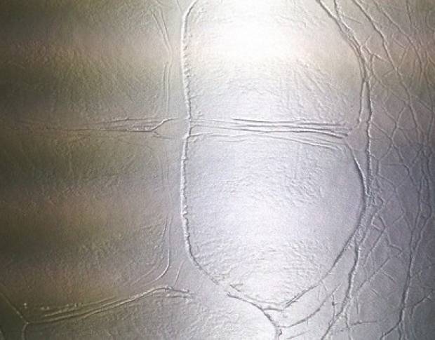 Orajet Silver Film under the skin of the reptile 1.524 m