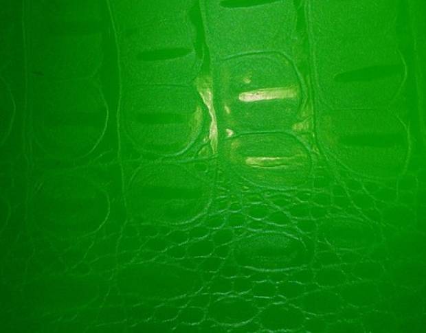 Orajet Green Film under the skin of the reptile 1.524 m