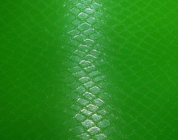 Orajet Green Film under the skin of a snake 1.524 m