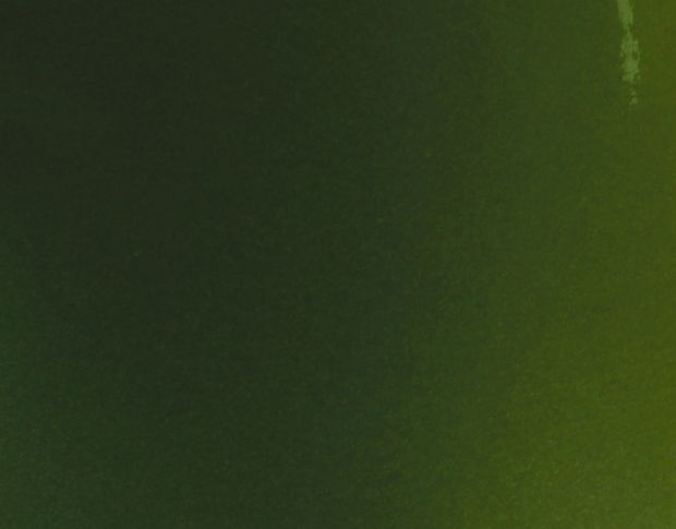 Arlon Gloss Sierra Green Metallic 426 1.524 m