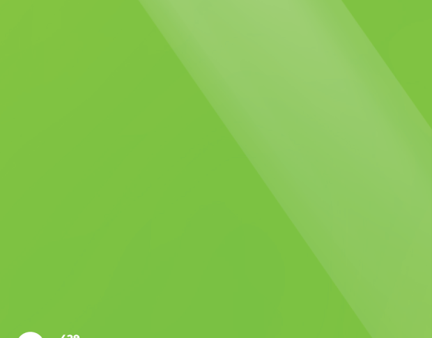 Arlon Gloss Electric Lime 429 1.524 m